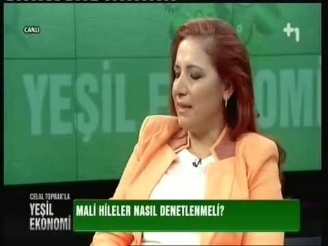 Fikriye Aslan +1 TV Yeşil Ekonomi Programı Celal TOPRAK’a konuk oldu (04.07.2014) | Pusula Adli Muhasebe Uzmanlığı