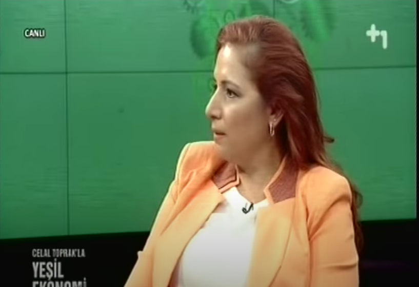 Pusula Danışmanlık ve Adli Muhasebe Uzmanlığı Firma Sahibi Fikriye Aslan +1 TV de (04.07.2014)